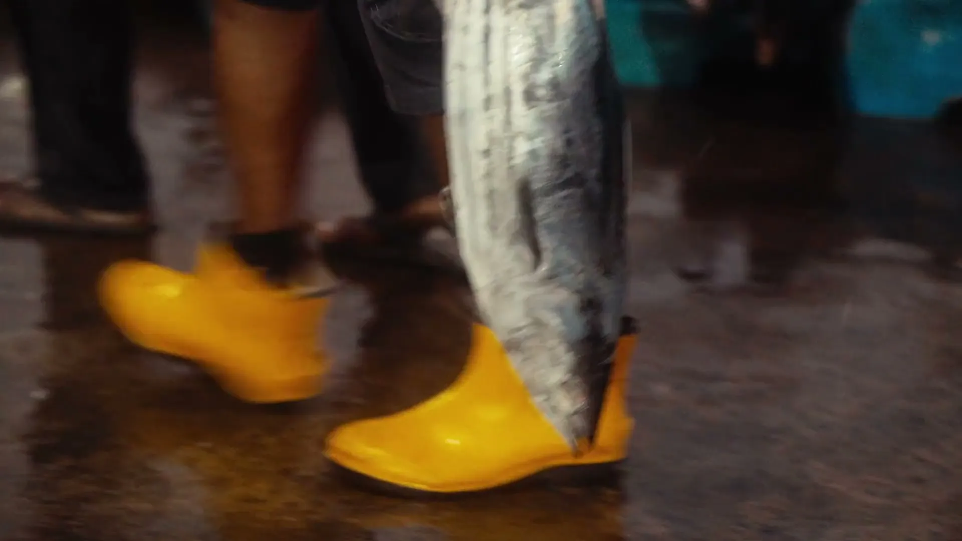 Yellow rubber boots and a tuna on the wet floor