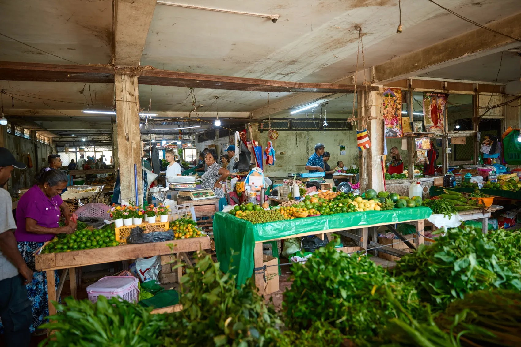 The local produce market