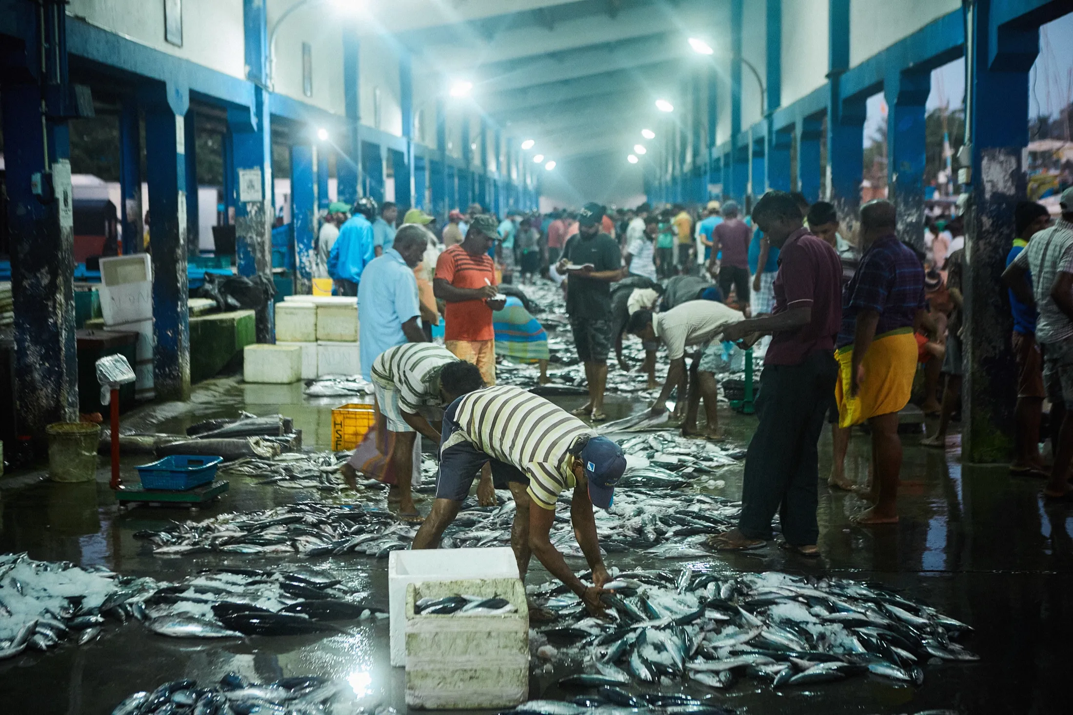The market hall early, the lights still on and the fish on the floor