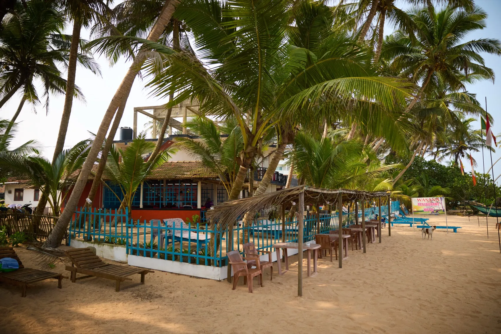 Accommodation on the beach among palms